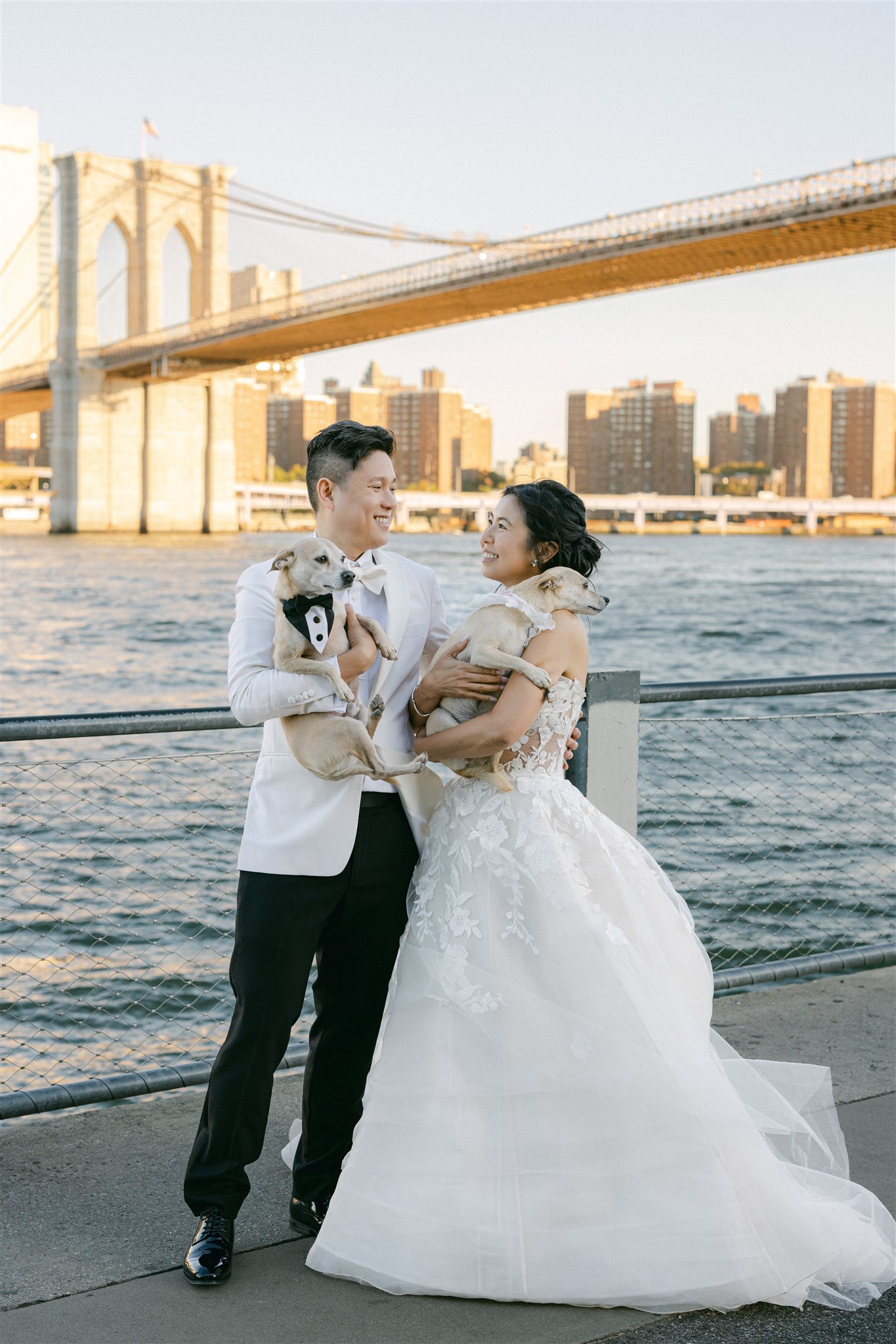 A couple holding their dogs during their wedding portraits in NYC