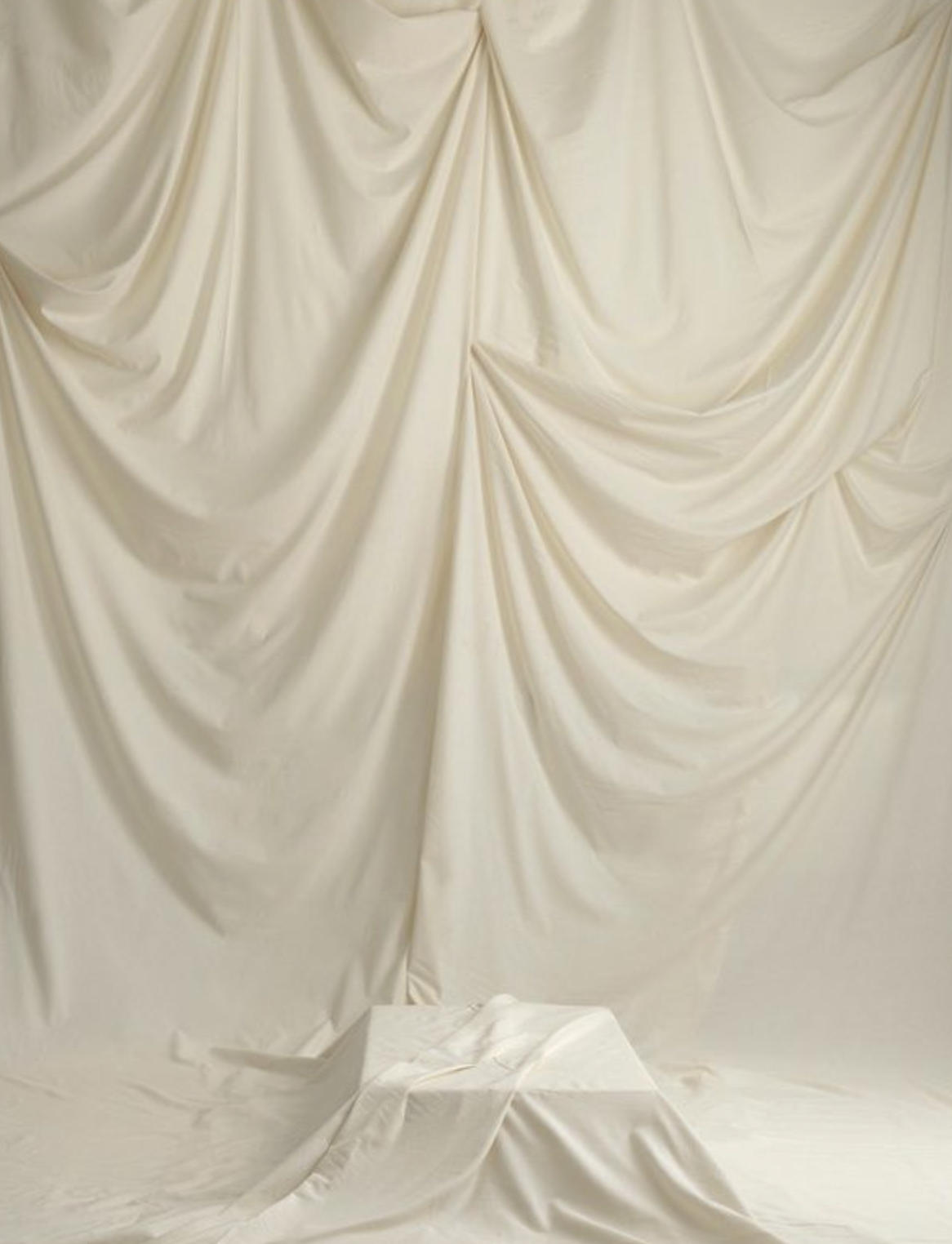 cream backdrop example for mini session photography