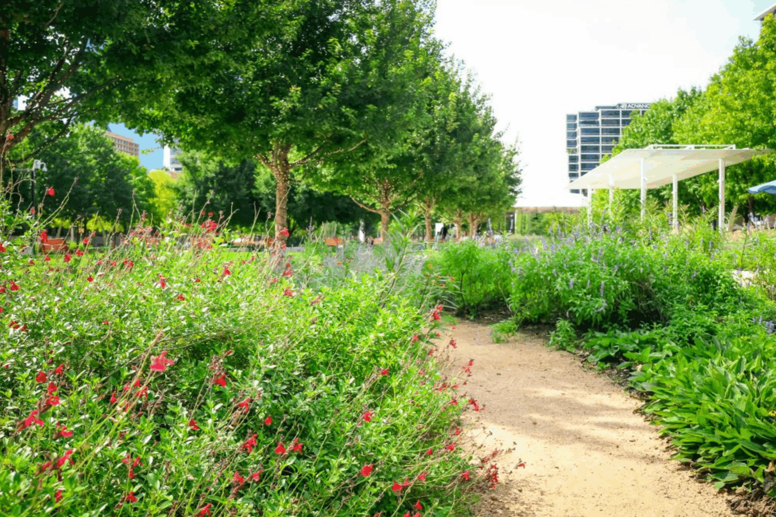 klyde warren park