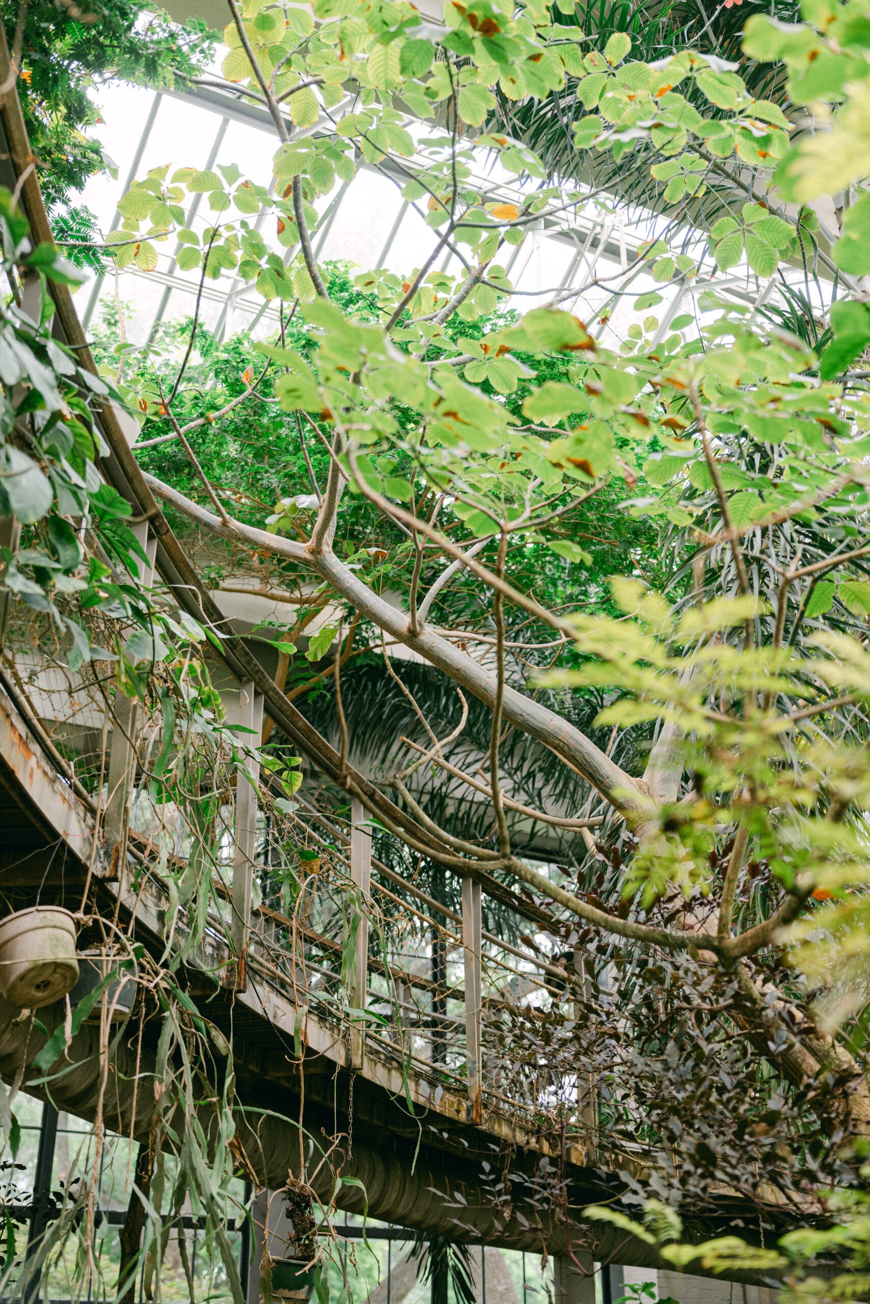 Texas discovery gardens