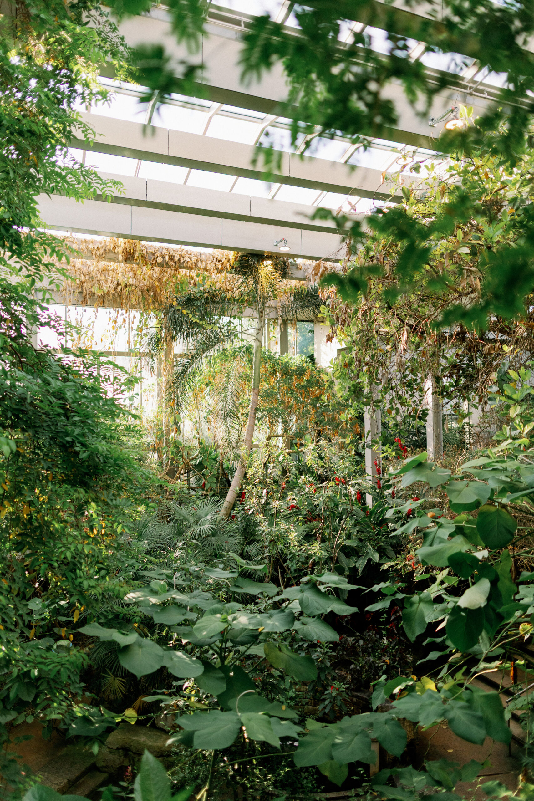 Texas discovery gardens