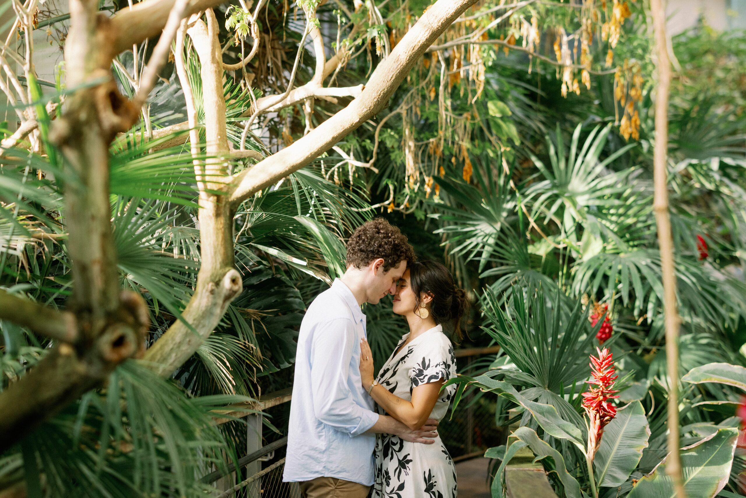 couples photos post dallas proposal at texas discovery gardens