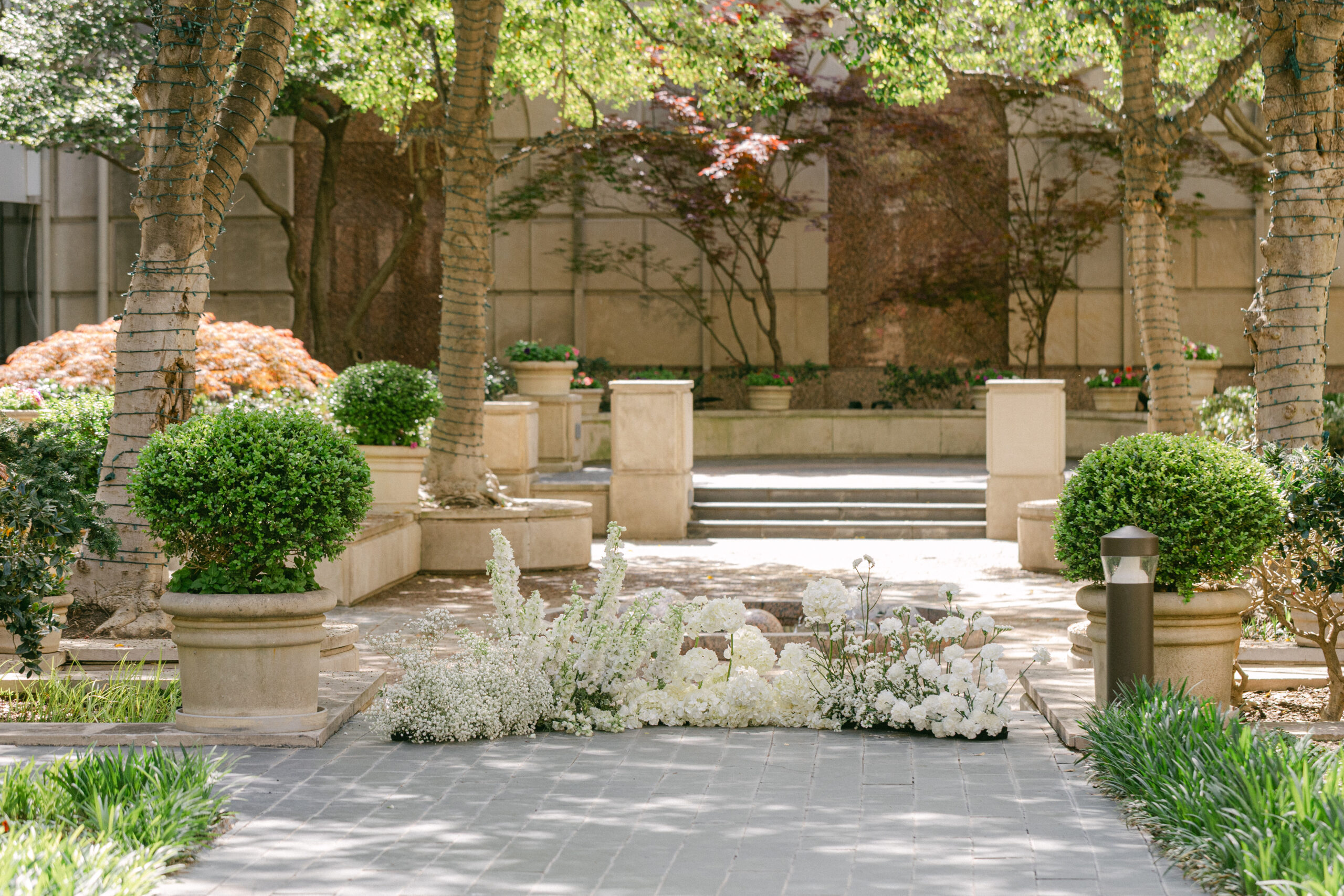 Proposal at the crescent hotel in dallas