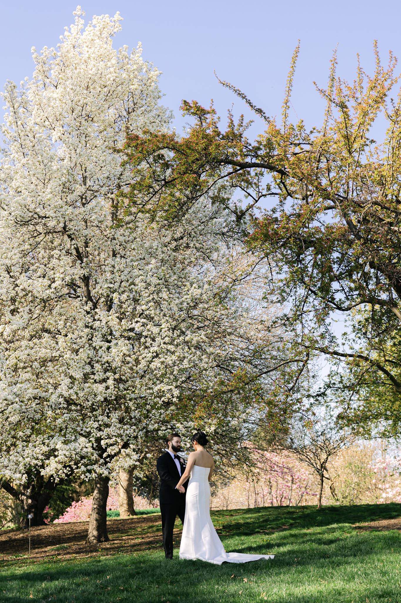 Spring wedding at brooklyn botanic garden in new york