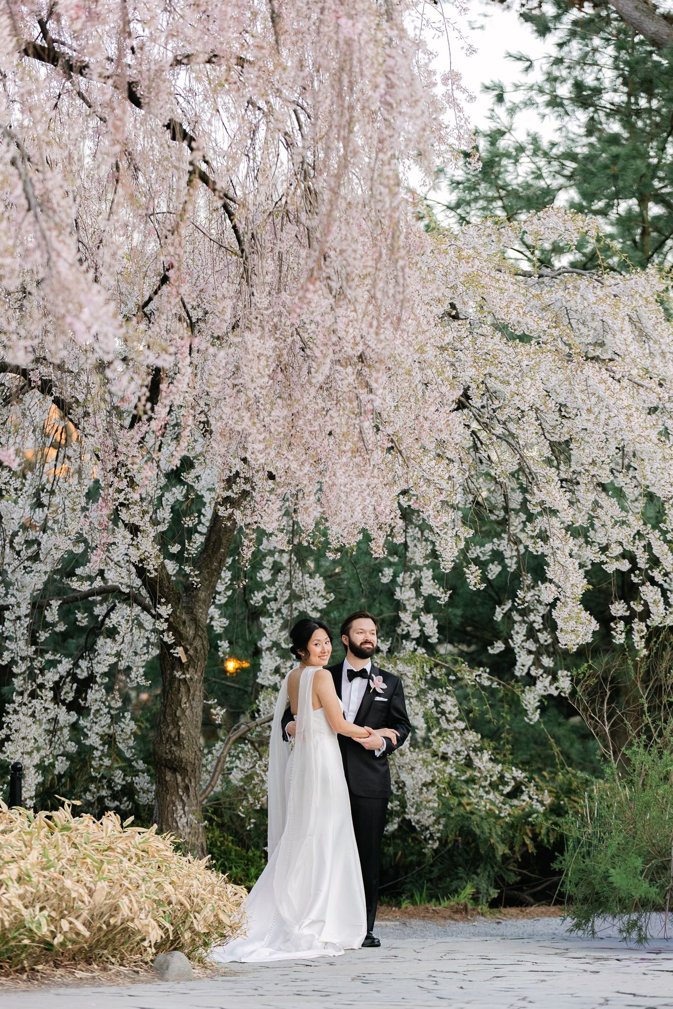 wedding portraits at the brooklyn botanic garden in new york