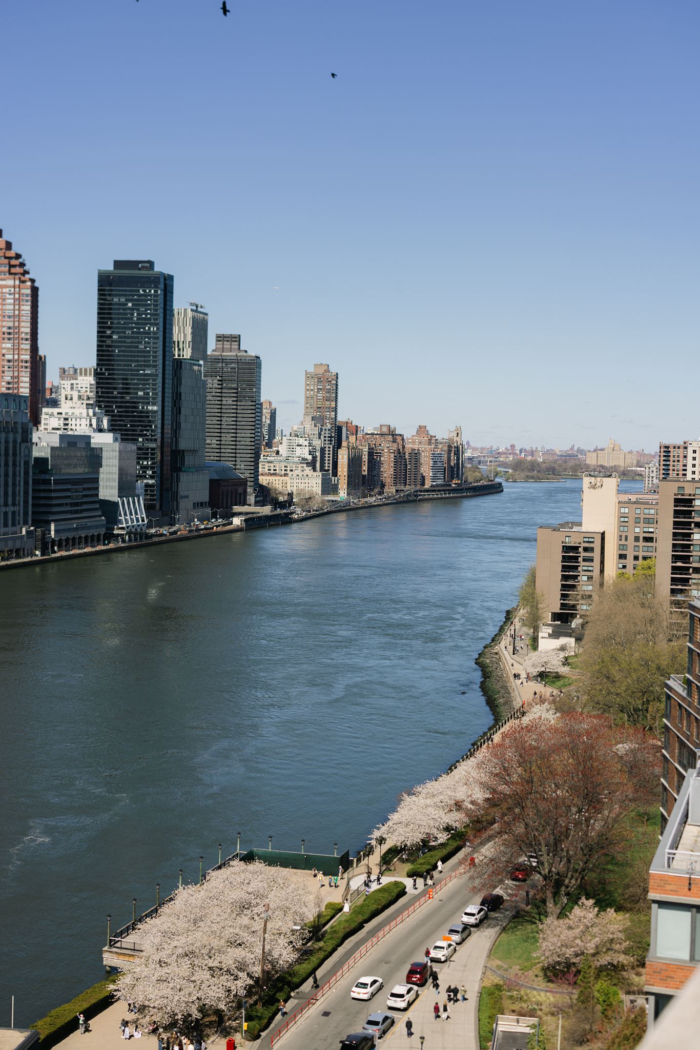 Brooklyn NYC