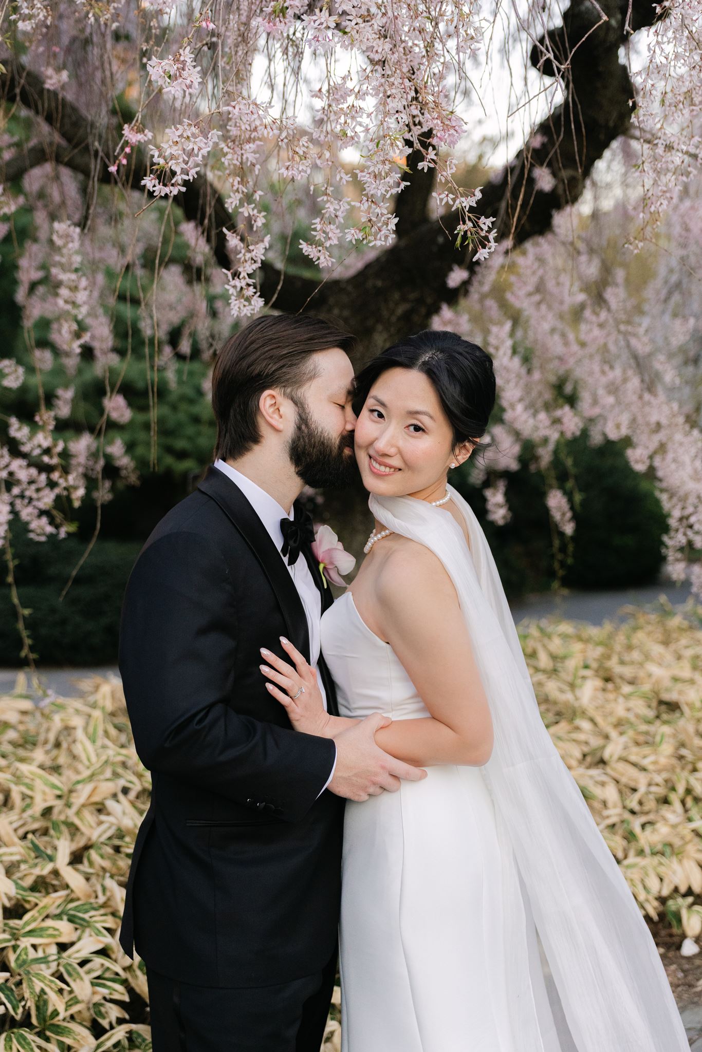 wedding portraits at the brooklyn botanic garden in new york
