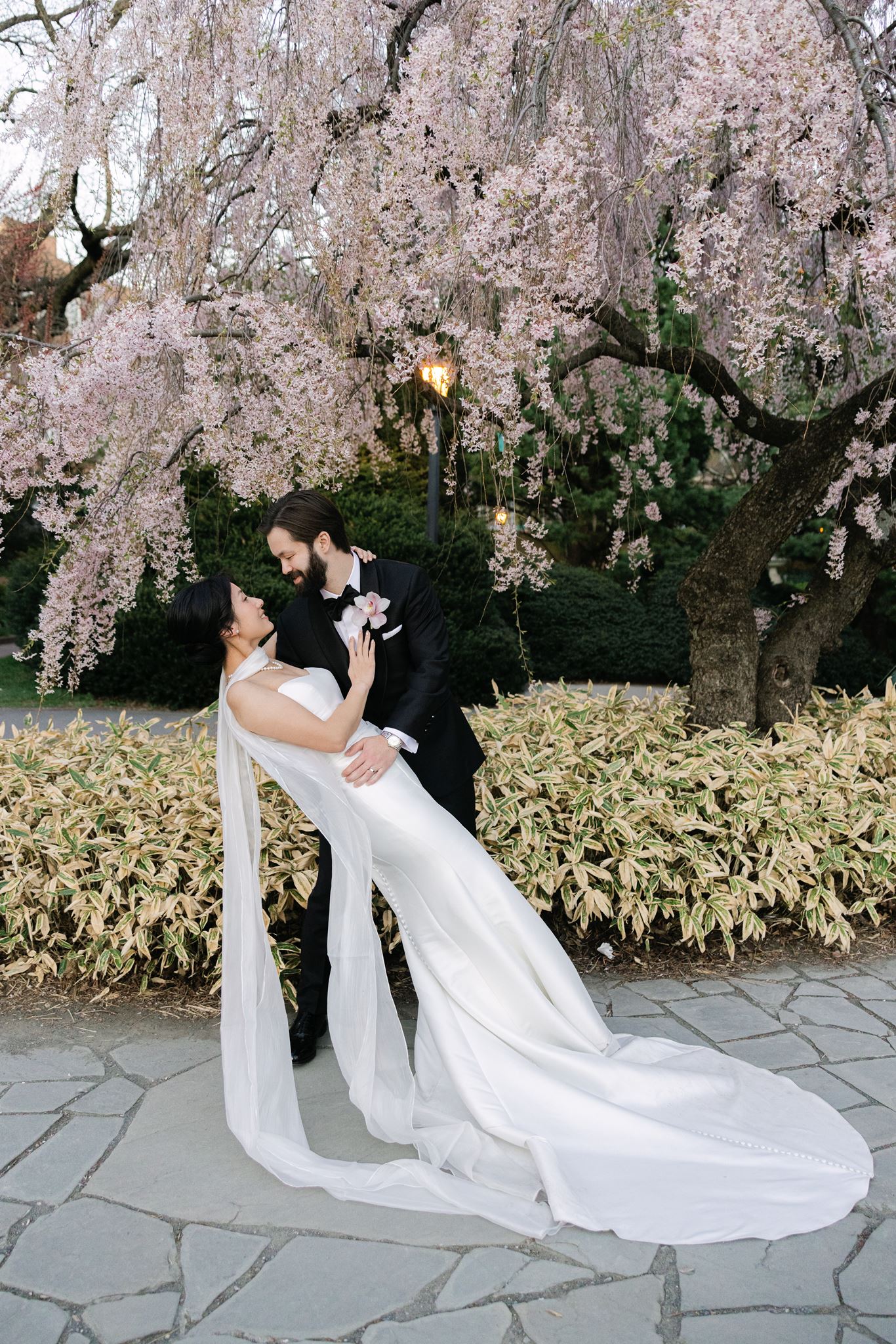 wedding portraits at the brooklyn botanic garden in new york