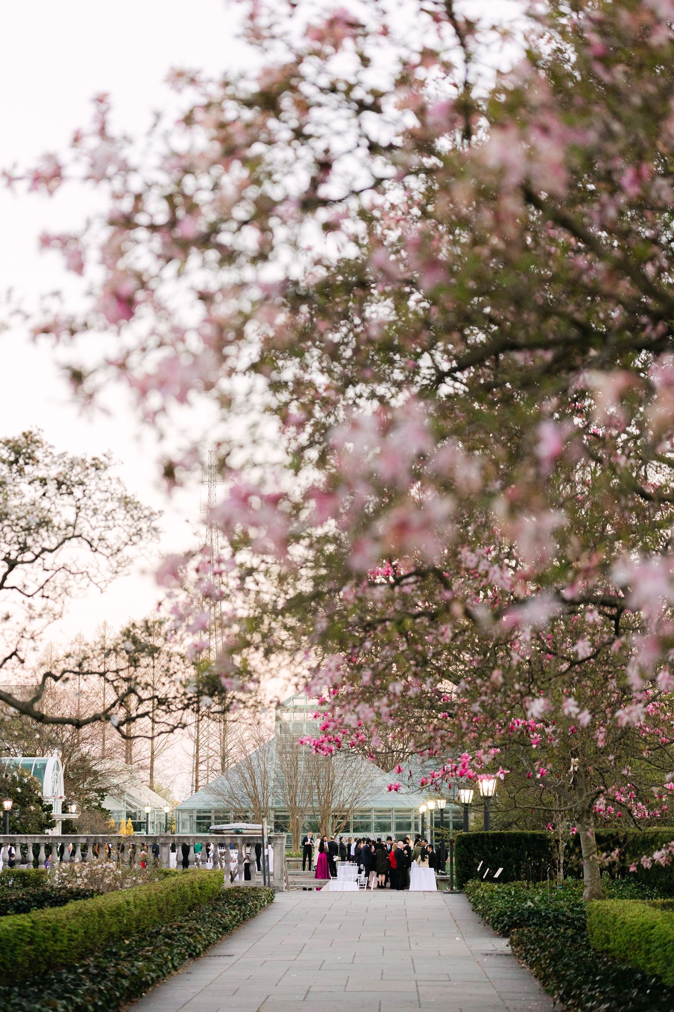 Spring wedding at brooklyn botanic garden in new york